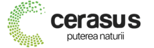 cerasus-new-logo-landscape-black